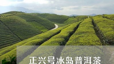 正兴号冰岛普洱茶/2023031791515