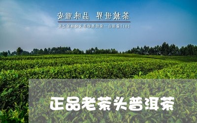 正品老茶头普洱茶/2023041155150