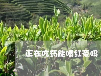 正在吃药能喝红茶吗/2023041552926