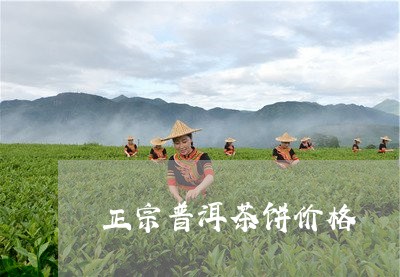 正宗普洱茶饼价格/2023031869251