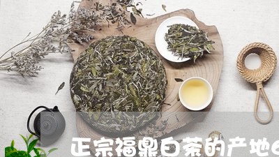 正宗福鼎白茶的产地6个镇/2023033023159