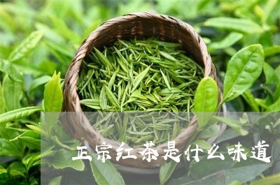 正宗红茶是什么味道/2023041502847