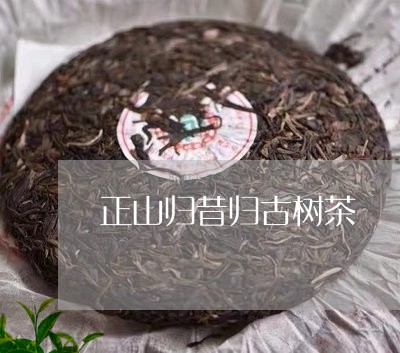 正山归昔归古树茶/2023032591948