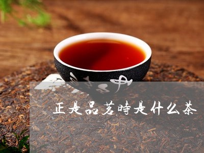 正是品茗时是什么茶/2023031904038