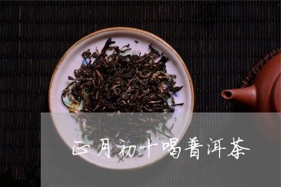 正月初十喝普洱茶/2023033188581