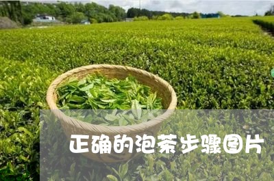 正确的泡茶步骤图片/2023032011515