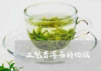 正规普洱茶的功效/2023041080692