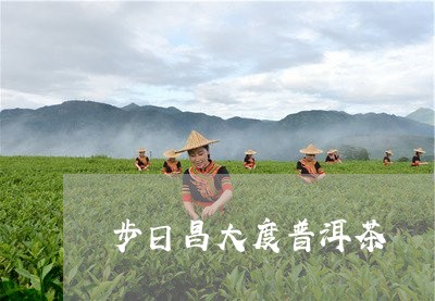 步日昌大度普洱茶/2023031794817