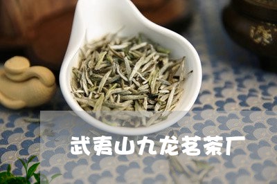 武夷山九龙茗茶厂/2023032483827