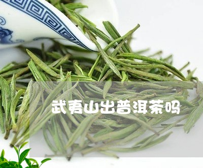 武夷山出普洱茶吗/2023033168258