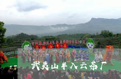 武夷山半入云茶厂/2023032449272