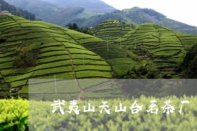 武夷山天山合茗茶厂/2023032037360