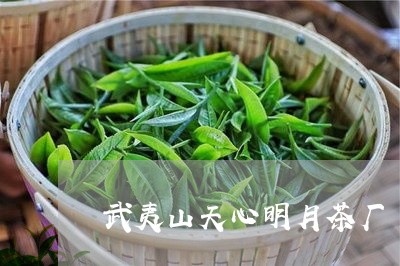 武夷山天心明月茶厂/2023041628282