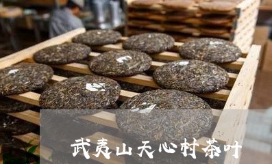 武夷山天心村茶叶/2023032694816