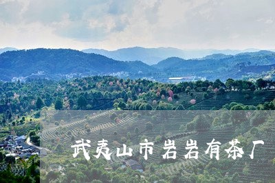 武夷山市岩岩有茶厂/2023041610614