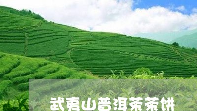 武夷山普洱茶茶饼/2023032952835