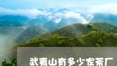 武夷山有多少家茶厂/2023041640617