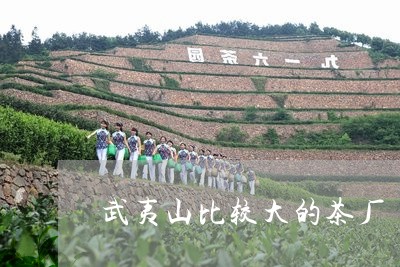 武夷山比较大的茶厂/2023041617203