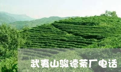 武夷山骏德茶厂电话/2023032047269