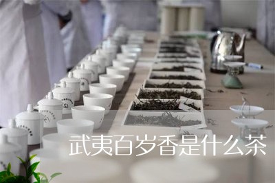 武夷百岁香是什么茶/2023031981837