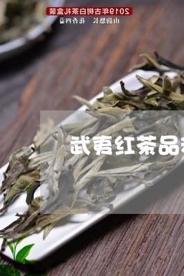 武夷红茶品种有哪些/2023032139383