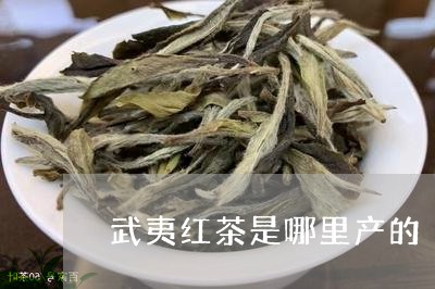 武夷红茶是哪里产的/2023041503070