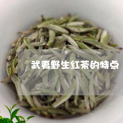 武夷野生红茶的特点/2023041664150