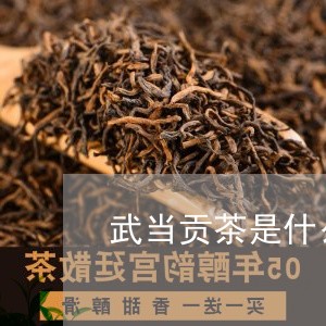 武当贡茶是什么茶/2023032472827