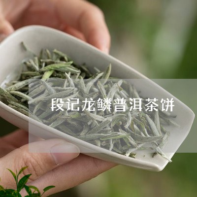 段记龙鳞普洱茶饼/2023033167373