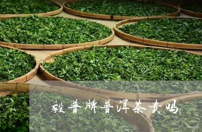 毅普牌普洱茶贵吗/2023033153815