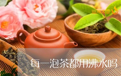 每一泡茶都用沸水吗/2023032065461