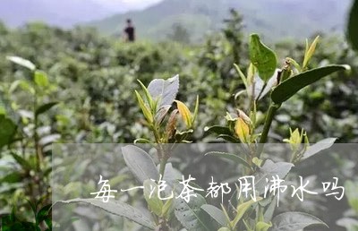 每一泡茶都用沸水吗/2023041693834