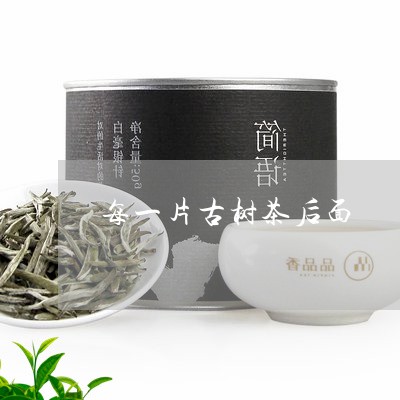 每一片古树茶后面/2023032653703