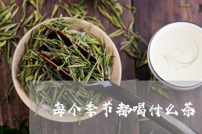 每个季节都喝什么茶/2023041570403