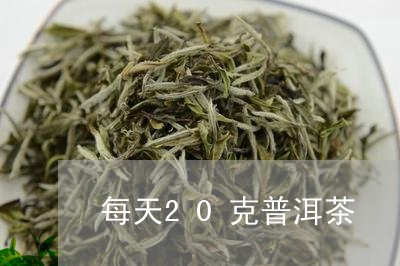 每天20克普洱茶/2023040976139