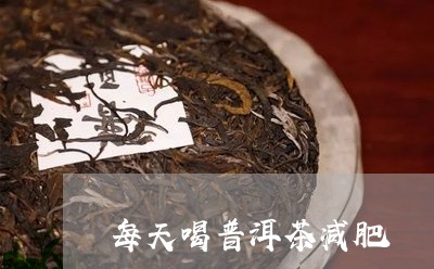 每天喝普洱茶减肥/2023041246350