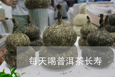 每天喝普洱茶长寿/2023041068361