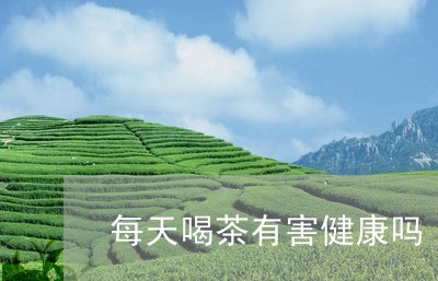 每天喝茶有害健康吗/2023032085149