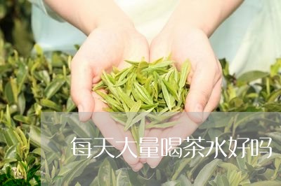 每天大量喝茶水好吗/2023041697402