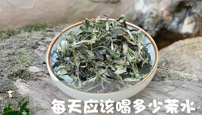 每天应该喝多少茶水/2023041535380