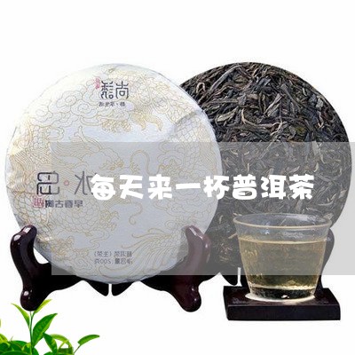 每天来一杯普洱茶/2023040161705