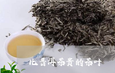 比普洱茶贵的茶叶/2023041467363