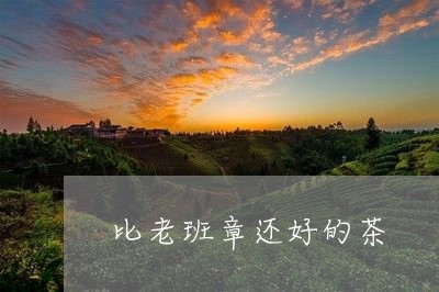 比老班章还好的茶/2023032953027