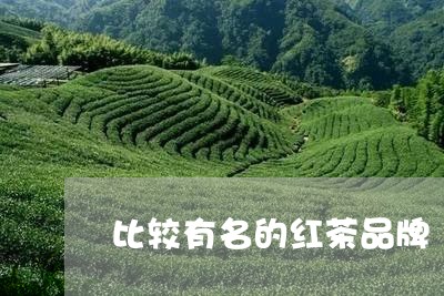 比较有名的红茶品牌/2023031971835