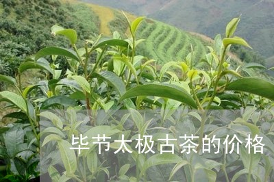 毕节太极古茶的价格/2023032185269