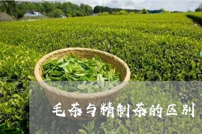 毛茶与精制茶的区别/2023032178591