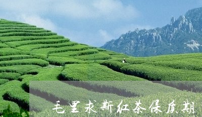 毛里求斯红茶保质期/2023031894038