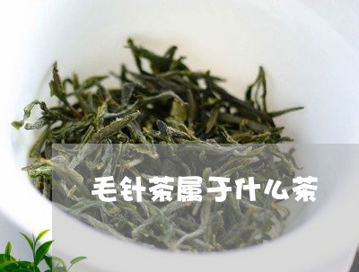 毛针茶属于什么茶/2023032492736