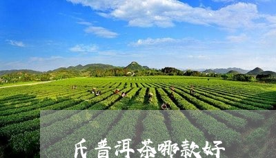 氏普洱茶哪款好/2023033114049