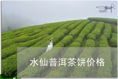 水仙普洱茶饼价格/2023031786150